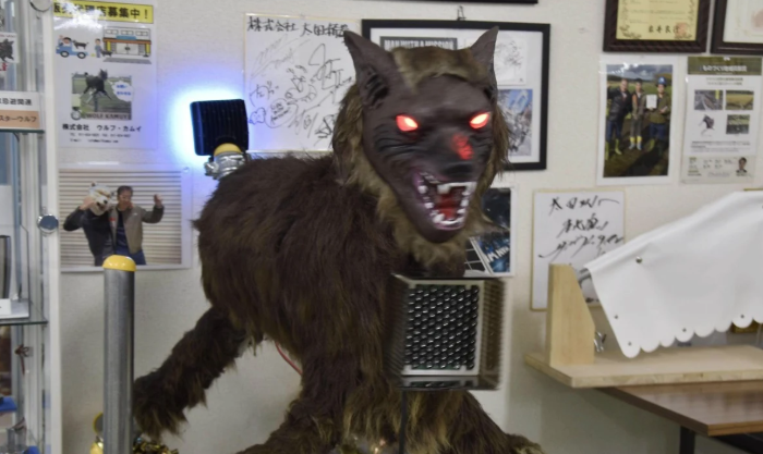日本熊襲擊激增,機器人「Monster Wolf」大量部署嚇阻熊群
