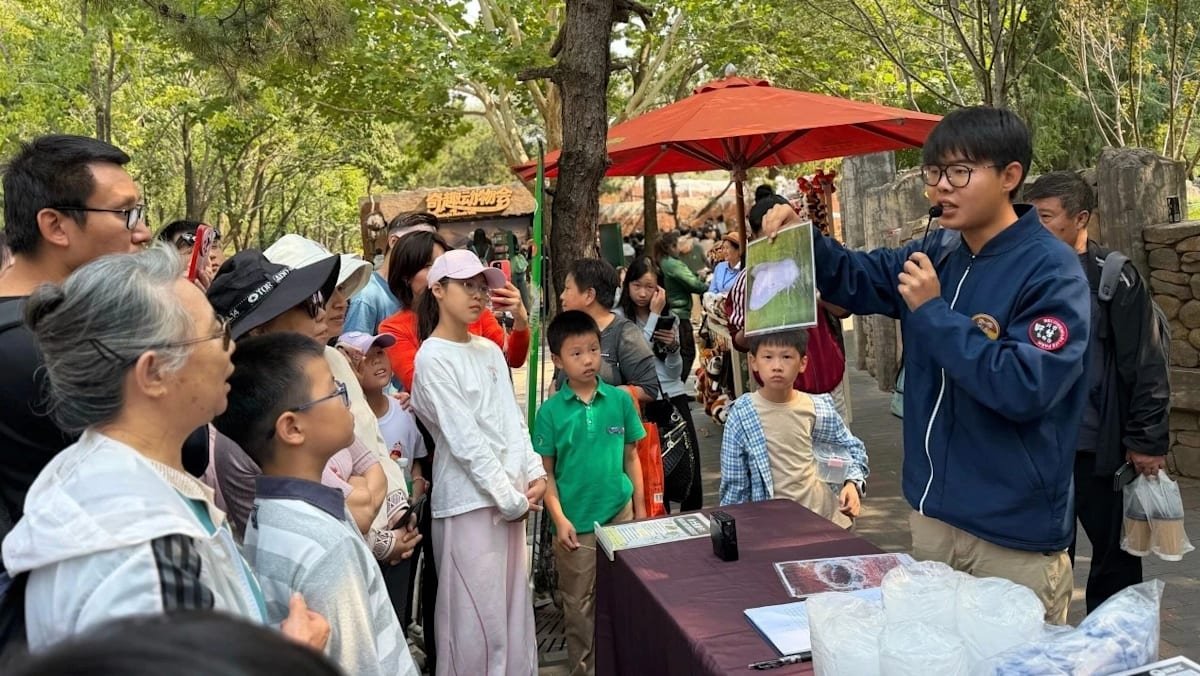 北京野生動物園工作人員向遊客講解如何辨認美國白蛾幼蟲