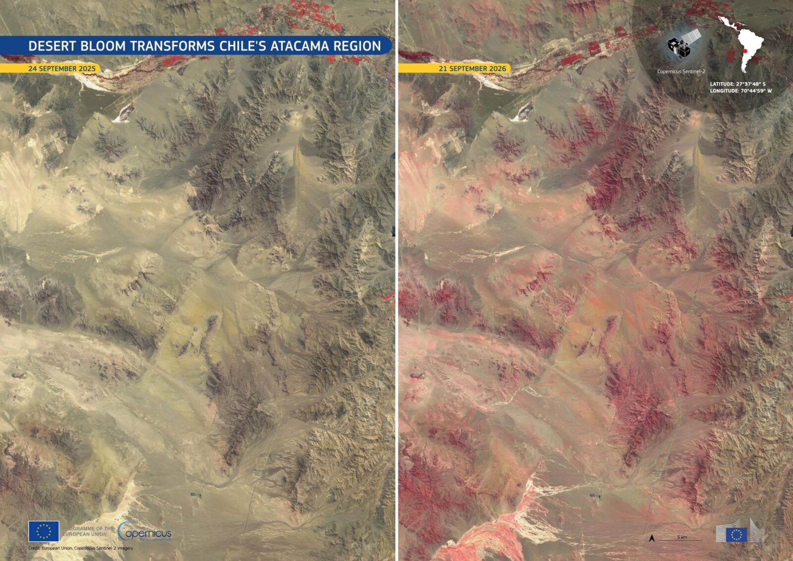 哥白尼 Sentinel-2 衛星比較 2025 年與 2026 年智利阿塔卡馬地區的假色影像,紅色代表植被