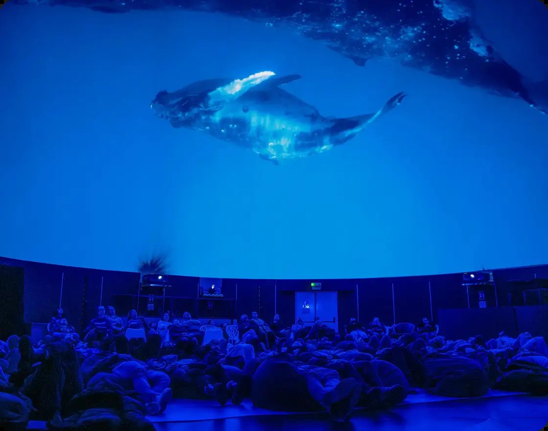 「海洋之聲」球幕場館內,觀眾躺在座位上,頭頂的 360 度球幕投影出悠游的座頭鯨