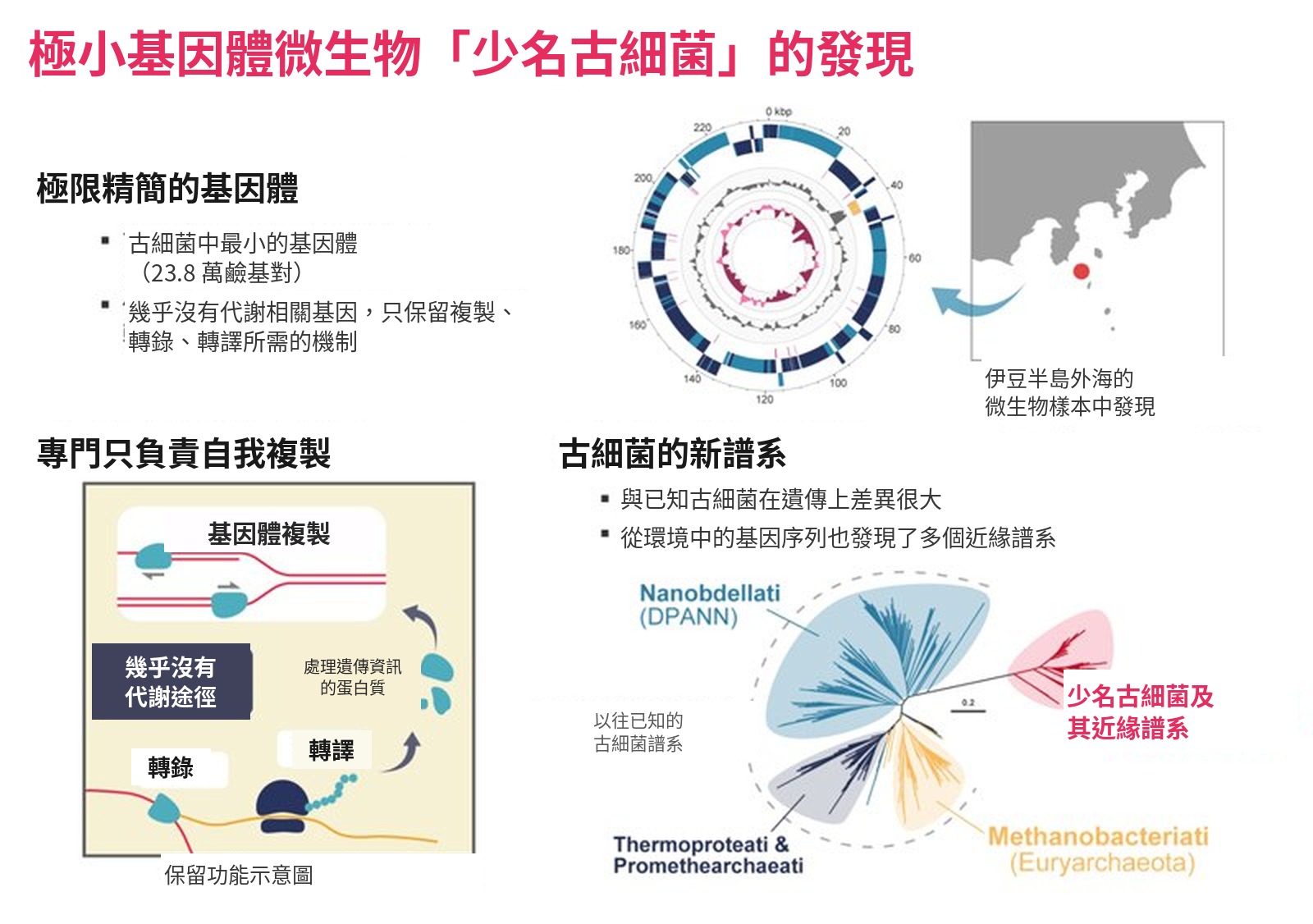 京都大學說明極小基因體古細菌「Sukunaarchaeum」發現經過的示意圖