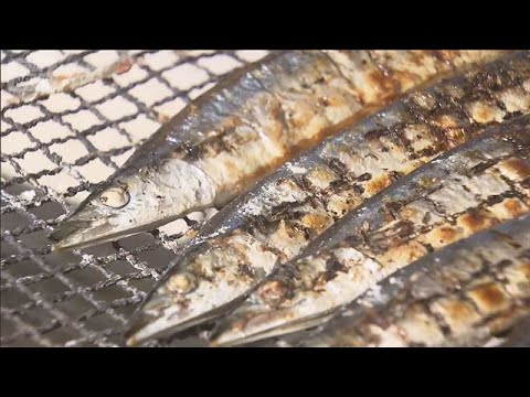 炭火網架上烤得焦香的一排秋刀魚