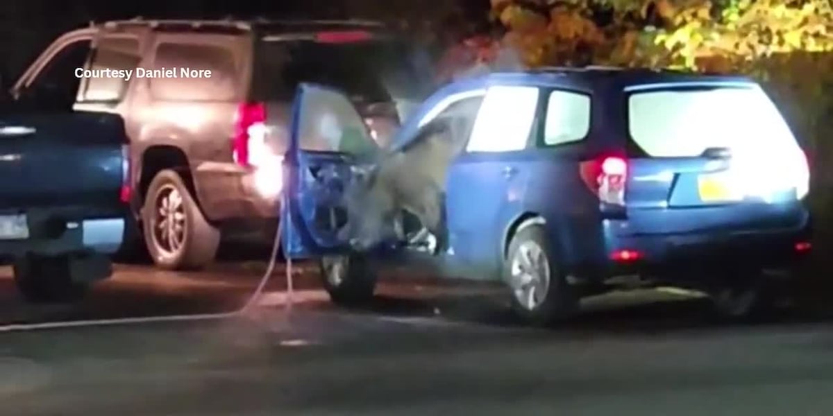 美國阿拉斯加州朱諾一頭黑熊被困在速霸陸車內,車內被破壞的畫面